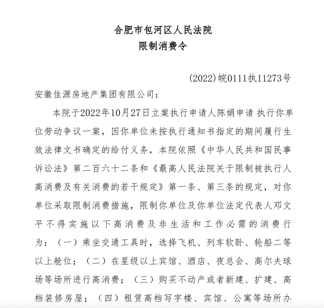 安徽佳源房地产集团有限公司
