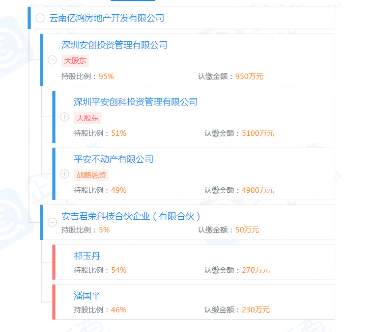 股权结构图