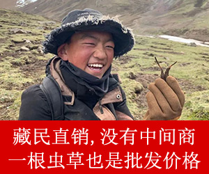 广告
