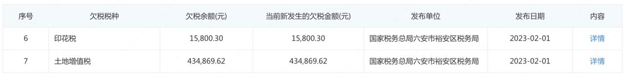 安徽红达旗