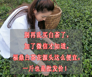 广告