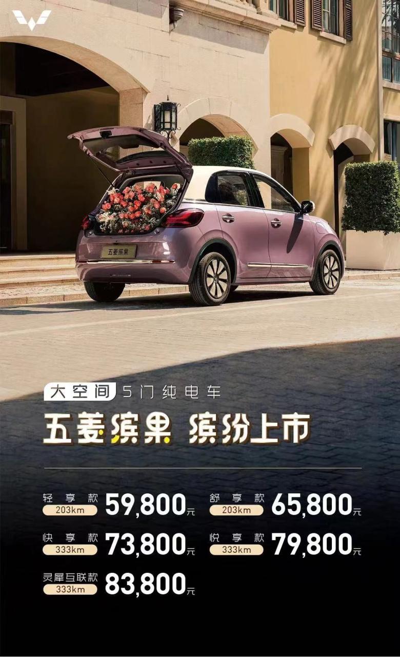 五门四座设计，最高纯电续航333km，五菱缤果售价5.98万起