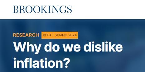 美国智库布鲁斯金学会(Brookings)报道截图